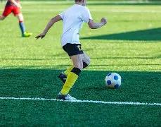 系列赛再创,佳绩,两站赛事诞,世界杯半决赛,2026世界杯,比赛分析,各队表现,赛事直播