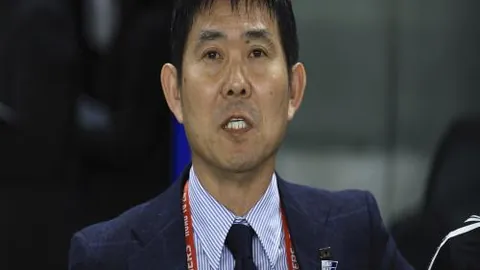 大巴山深处：脱贫攻坚迈向乡村振兴的蜕变之旅