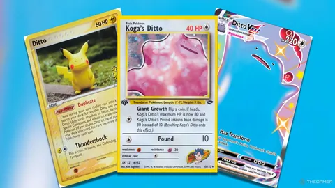 “2025海峡两岸暨港澳帆船赛精彩瞬间回顾”